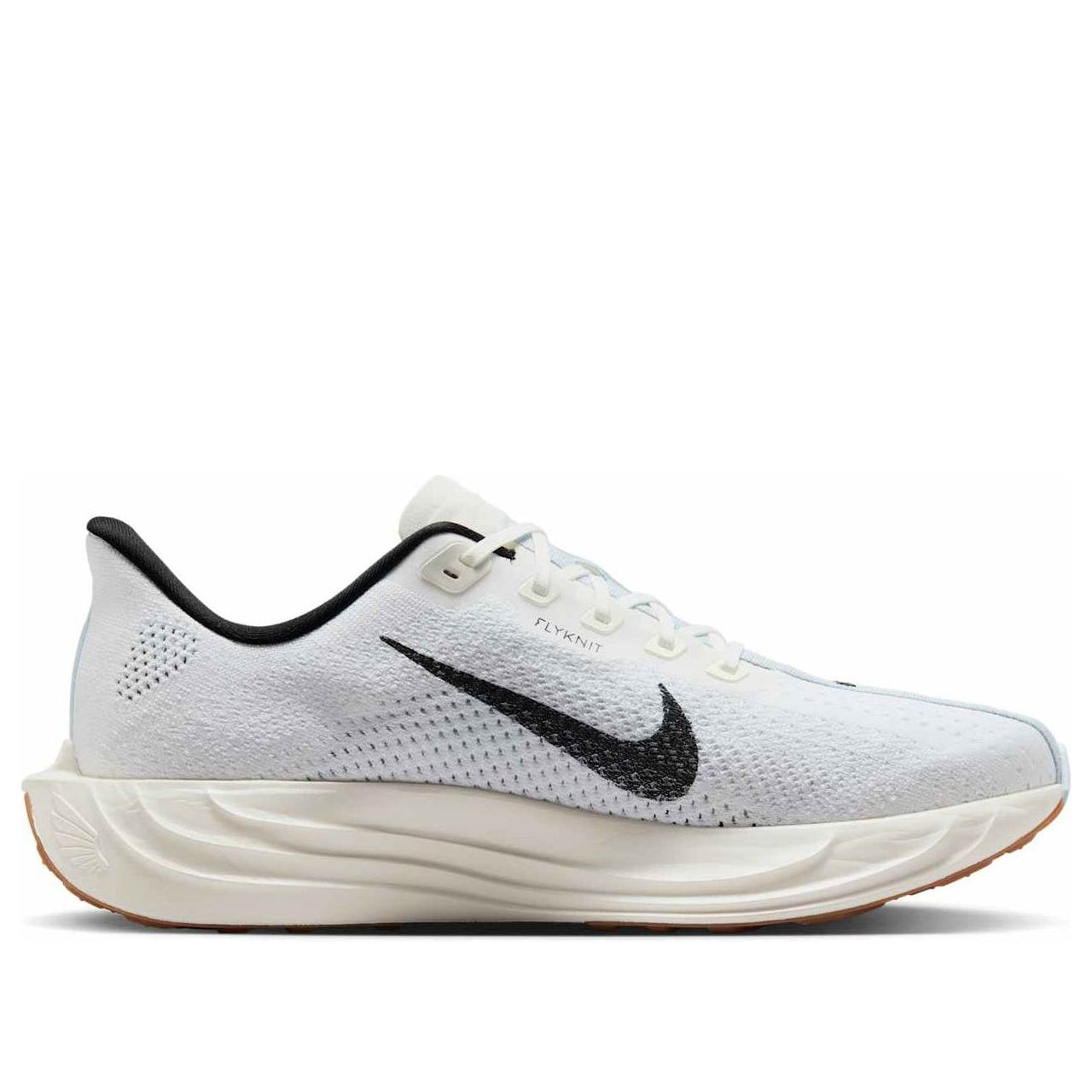Nike Pegasus Plus 'White Black Blue Tint' FQ7262-101