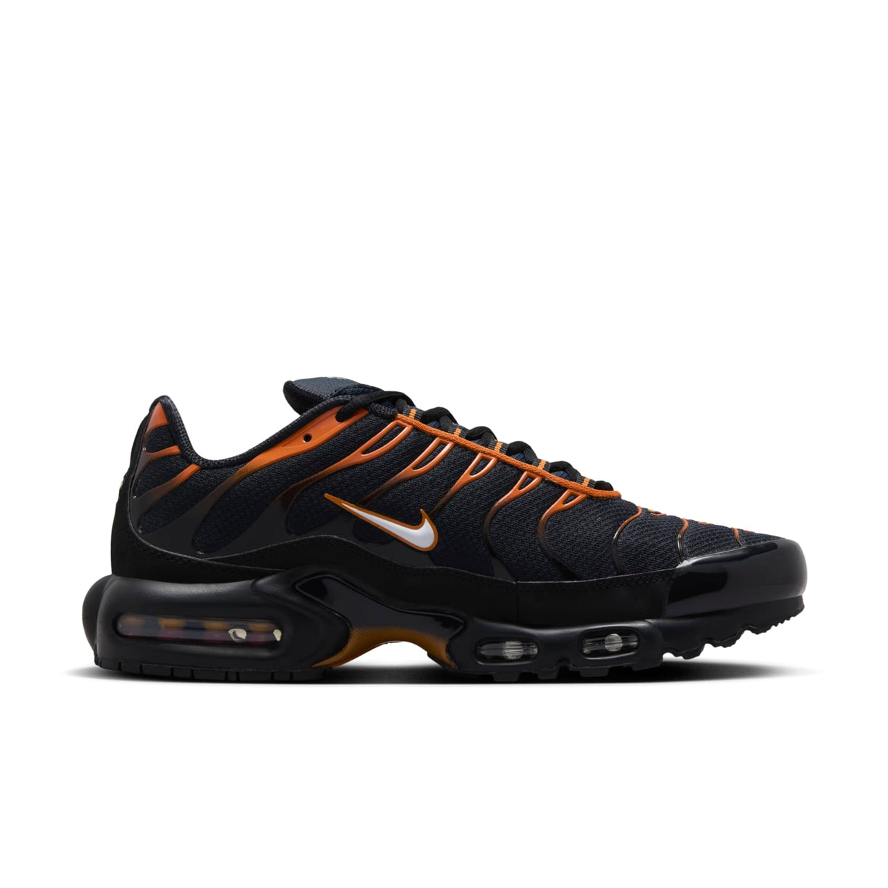 Nike Air Max Plus 'Dark Obsidian Monarch' FN6949-400