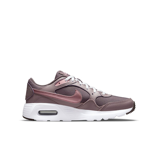 (GS) Nike Air Max SC 'Violet Ore' CZ5358-200