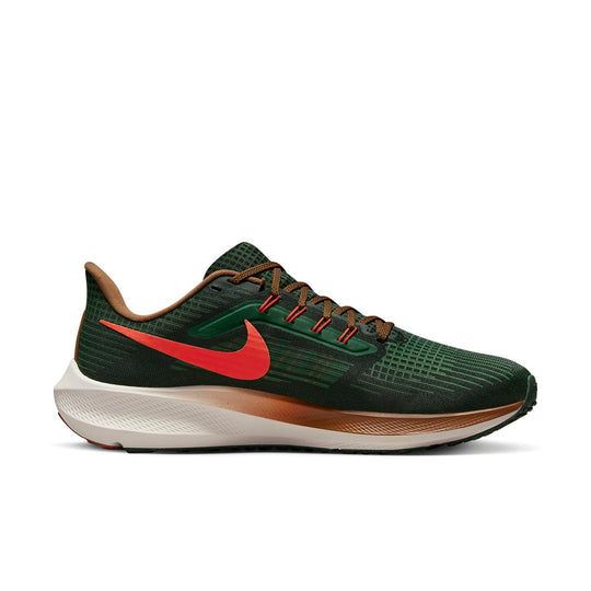 Nike Hola Lou x Air Zoom Pegasus 39 'A.I.R.' DO9500-300