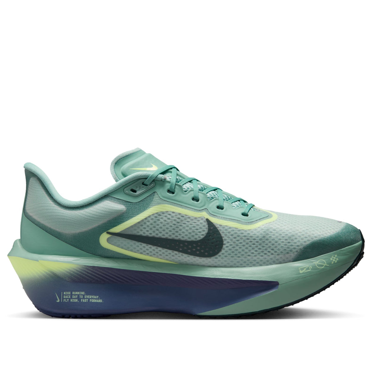 Nike Zoom Fly 6 'Cannon Light Silver' FN8454-003