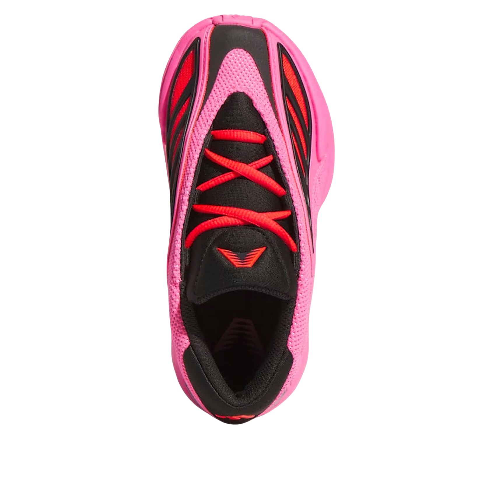 (PS) adidas Anthony Edwards 2 C 'Lucid Pink Black' JR2256