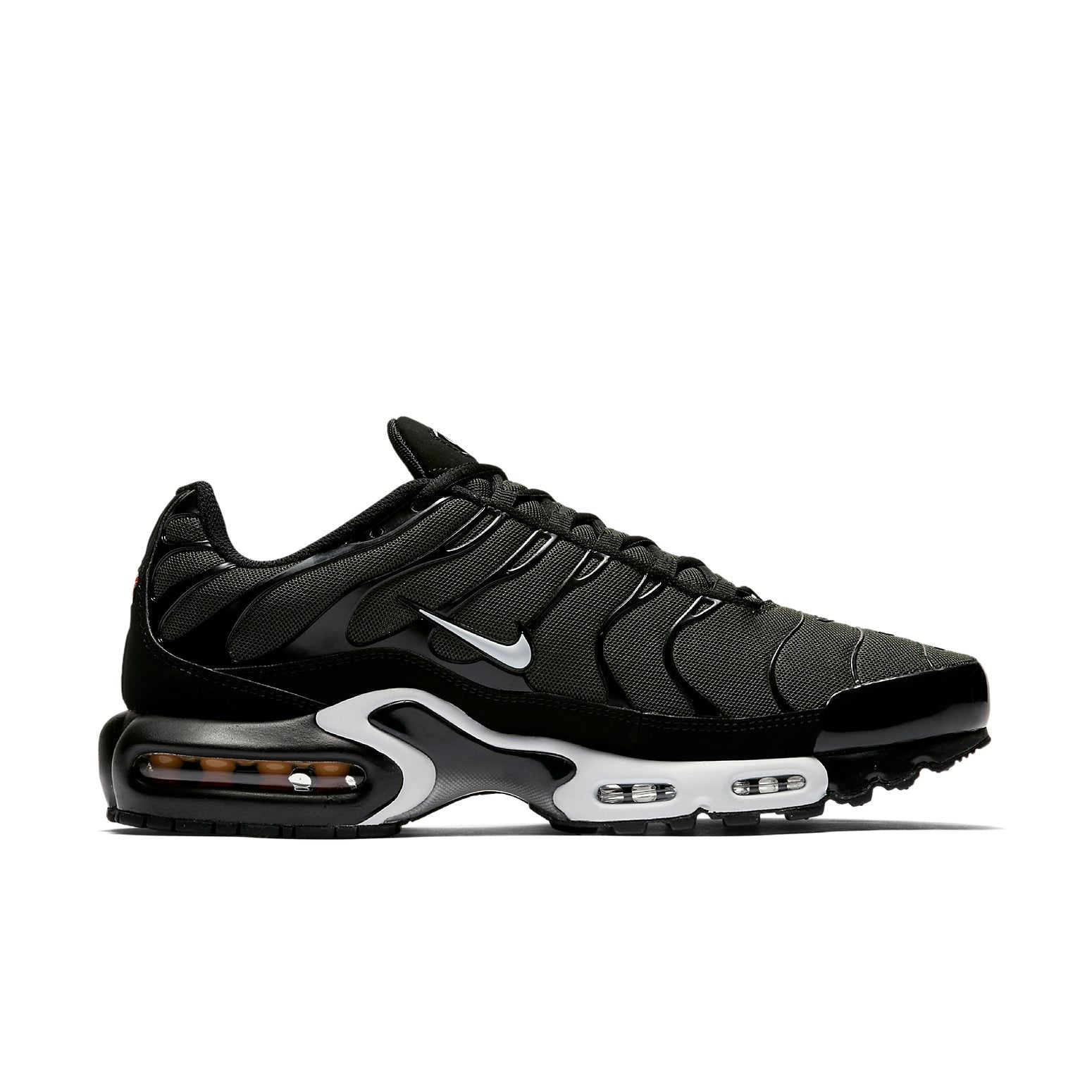 Nike Air Max Plus 'Black Sequoia' 852630-031