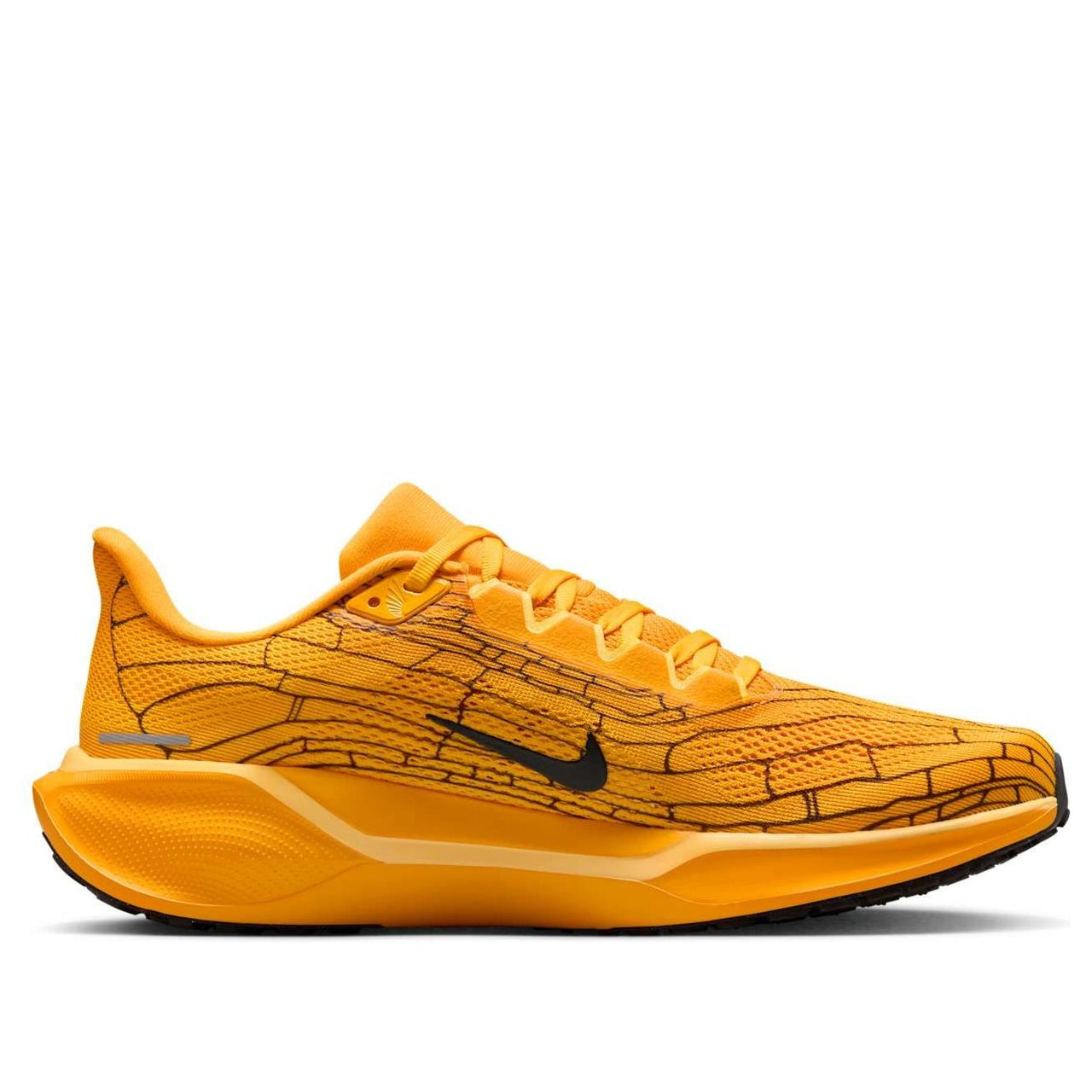 Nike Air Zoom Pegasus 41 'Modern Mayfly' IH3257-700
