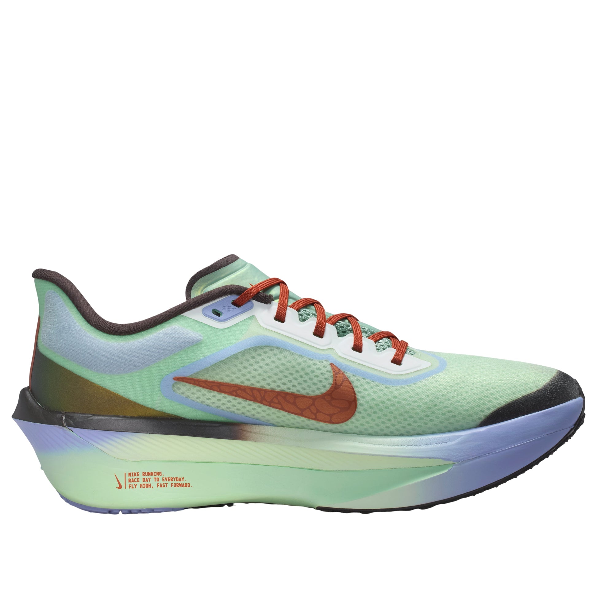Nike Zoom Fly 6 'Steam Frosted Spruce Purple' IW1246-099