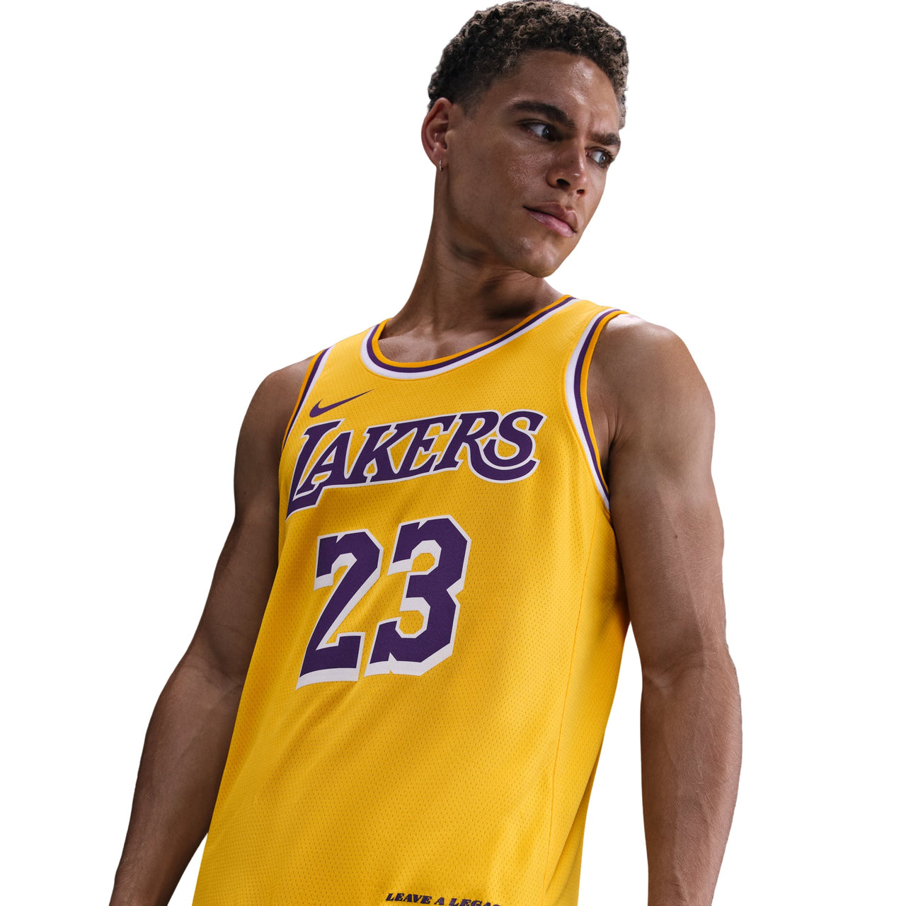 Nike x NBA Los Angeles Lakers Icon Edition 22-23 Jerseys 'LeBron James' DN2009-733