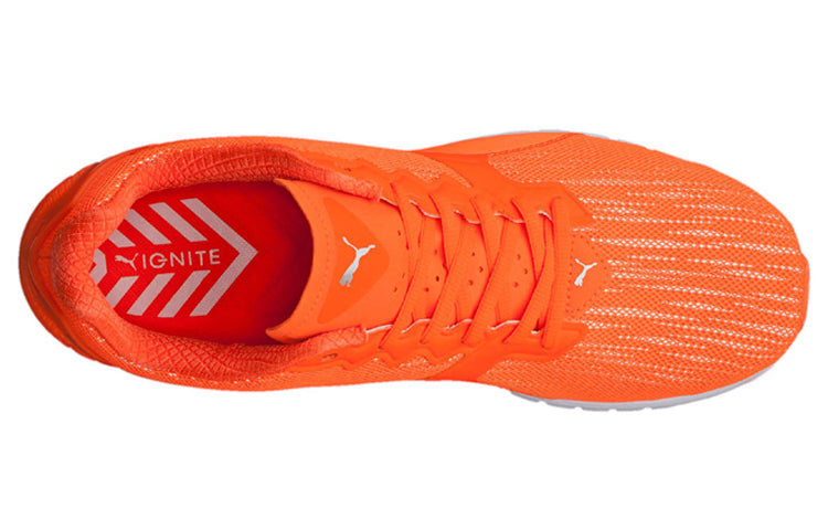 PUMA Ignite Dual Nightcat Low Cut Running Shoes Orange 189354-02