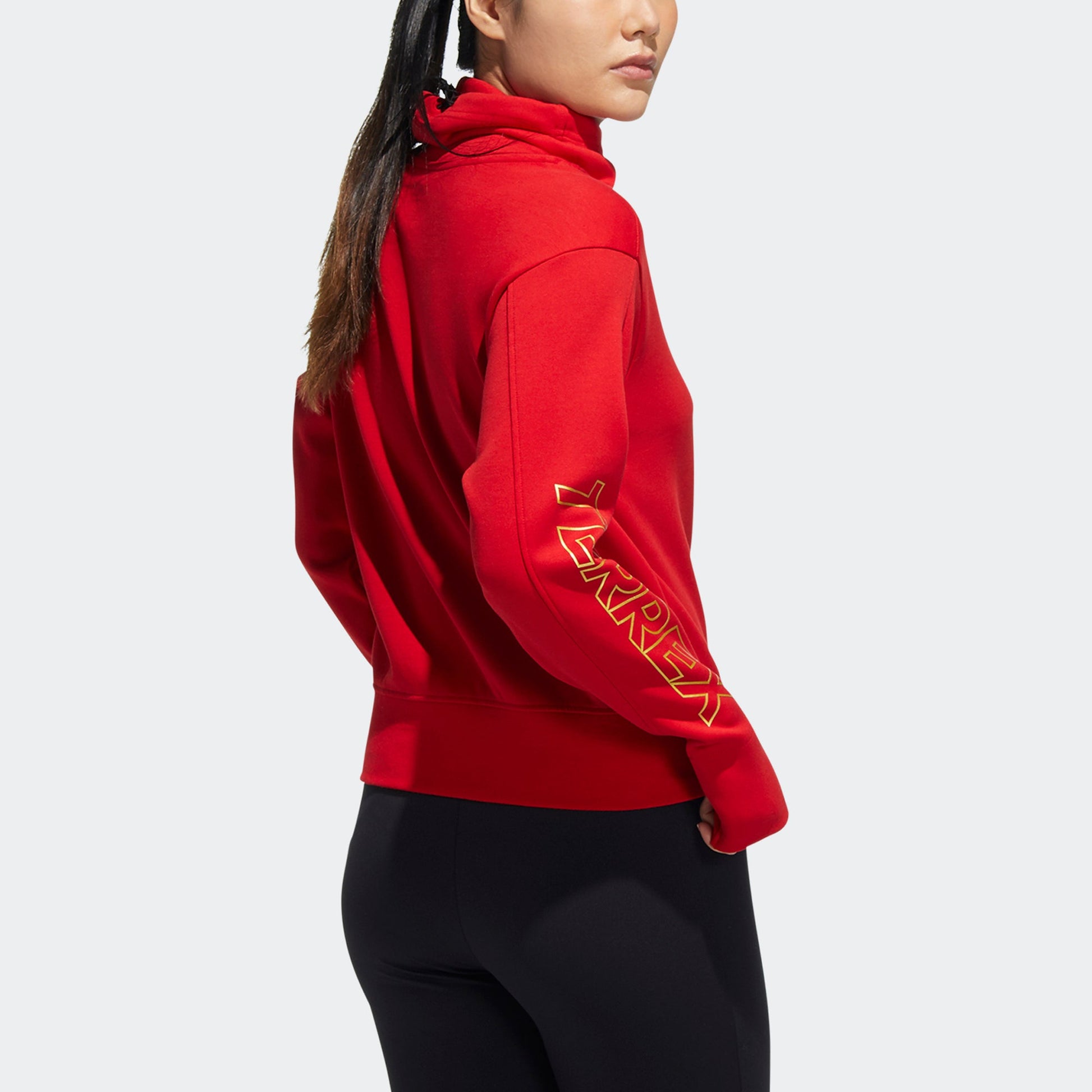(WMNS) adidas Terrex W CNY Pad Jkt Pattern Printing High Collar Sports Pullover Red Hoodie HE7315