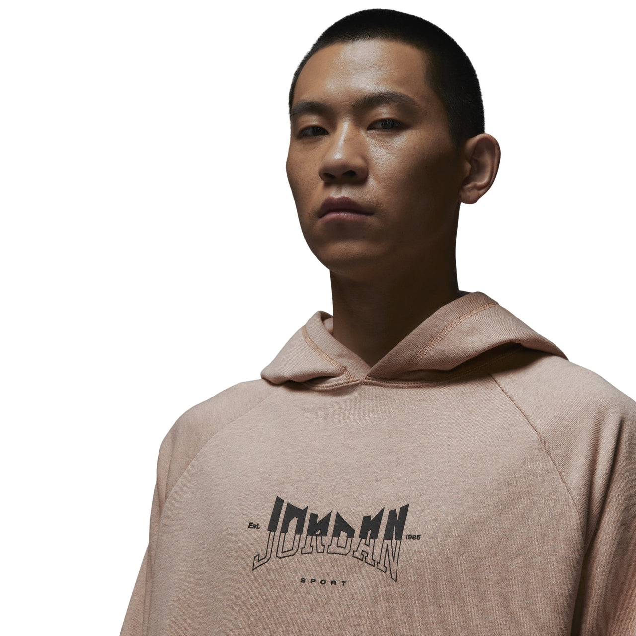 Air Jordan Dri-FIT Hoodie 'Brown' FQ6809-201