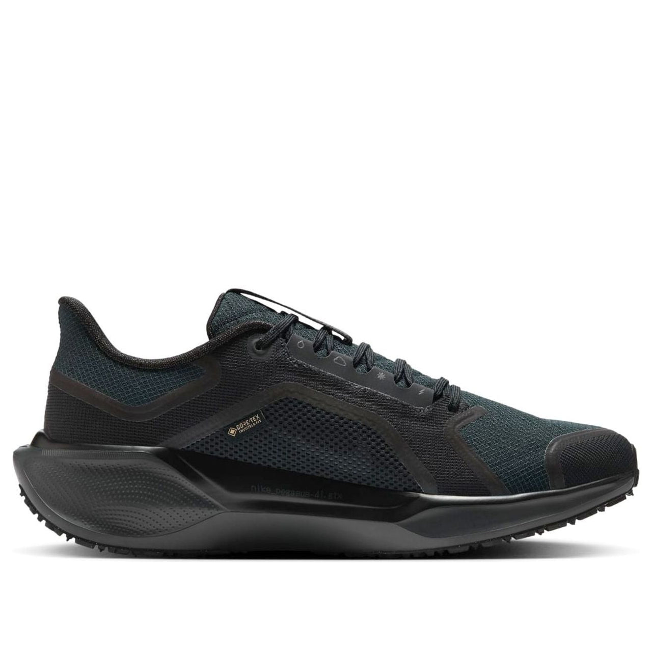 Nike Air Zoom Pegasus 41 Gore-Tex 'Black Anthracite' FQ1356-001