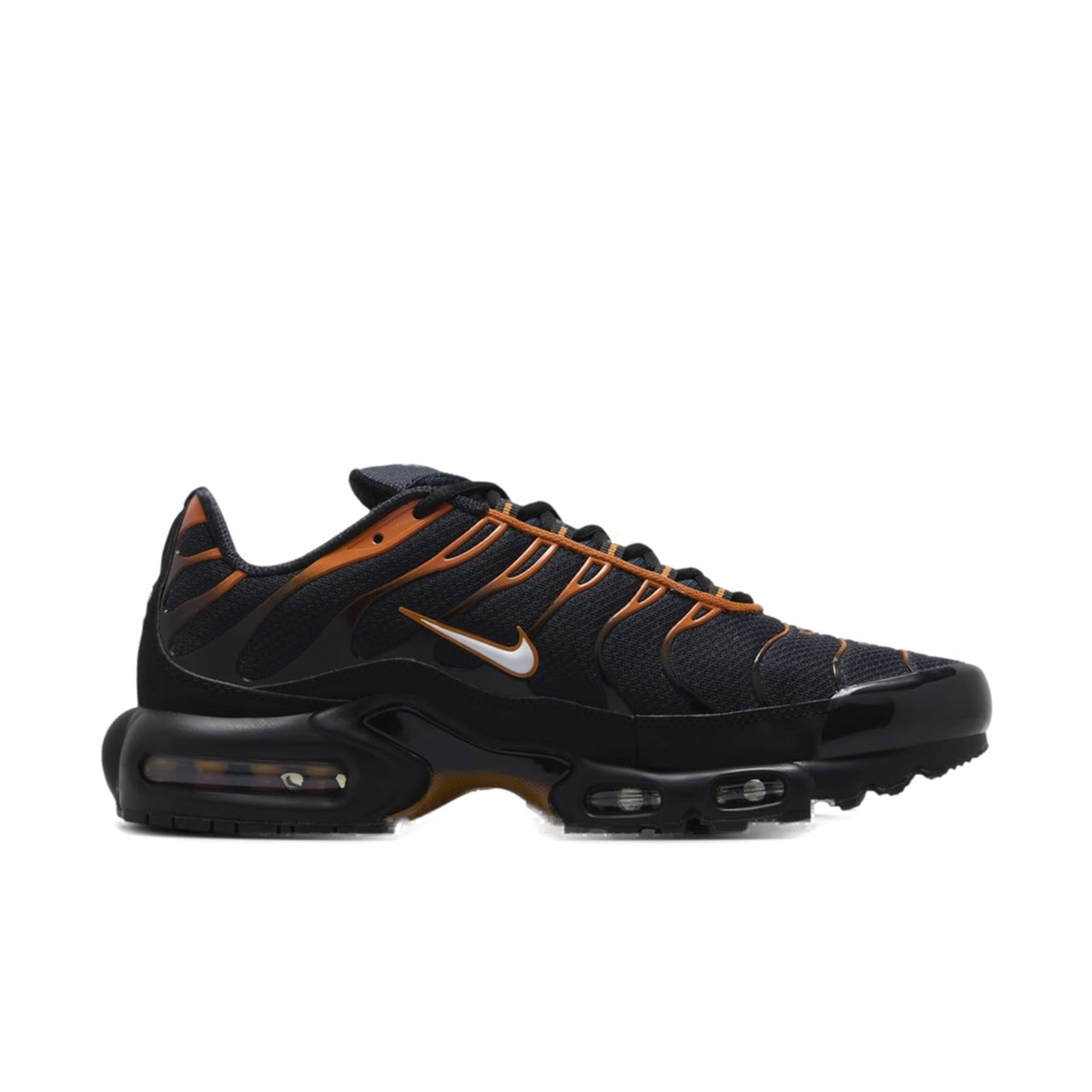 Nike Air Max Plus 'Dark Obsidian Monarch' FN6949-400