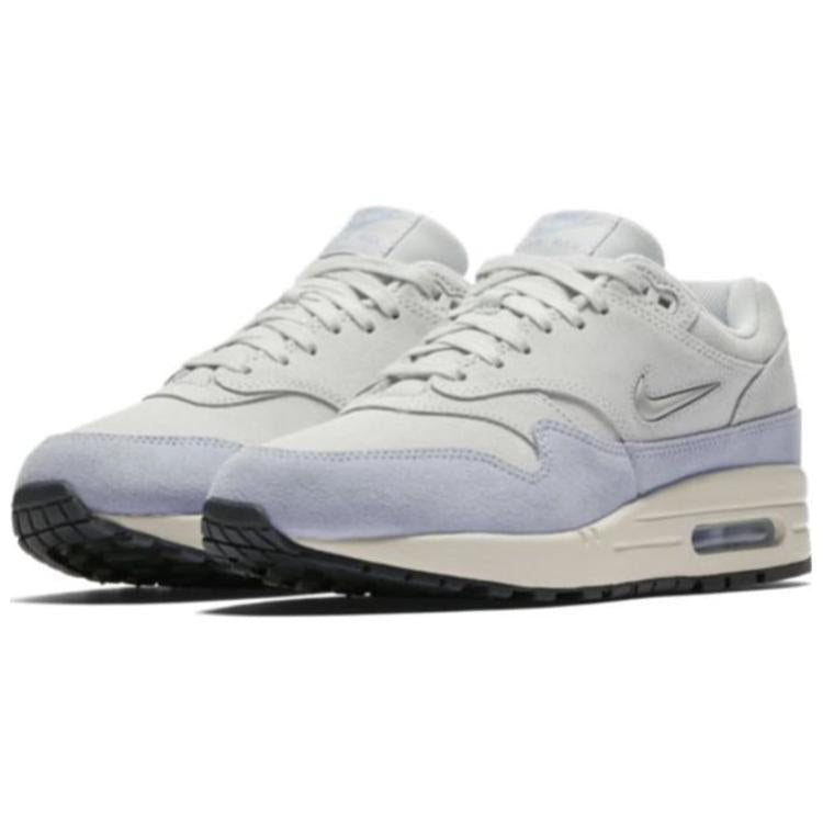 (WMNS) Nike Air Max 1 Premium 'Royal Tint' AA0512-004