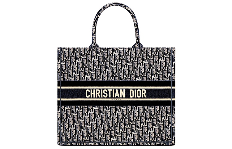 DIOR BookTote Velvet Embroidery Shopping Bag Tote Bag Shopping Bag Handbag Regular Women's Blue
