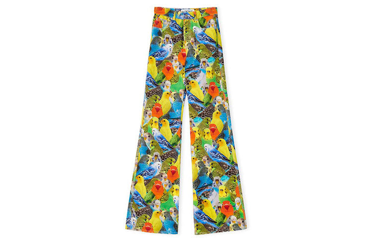 LOEWE Jeans Women's Multicolor