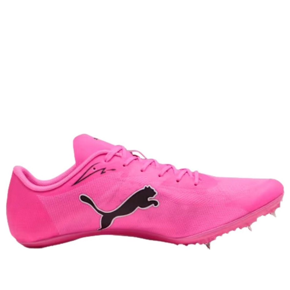 PUMA EvoSpeed Brush 7 'Poison Pink Sun Stream Black' 312969-03