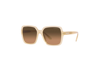 CHANEL Irregular Shape Sunglasses Unisex Beige