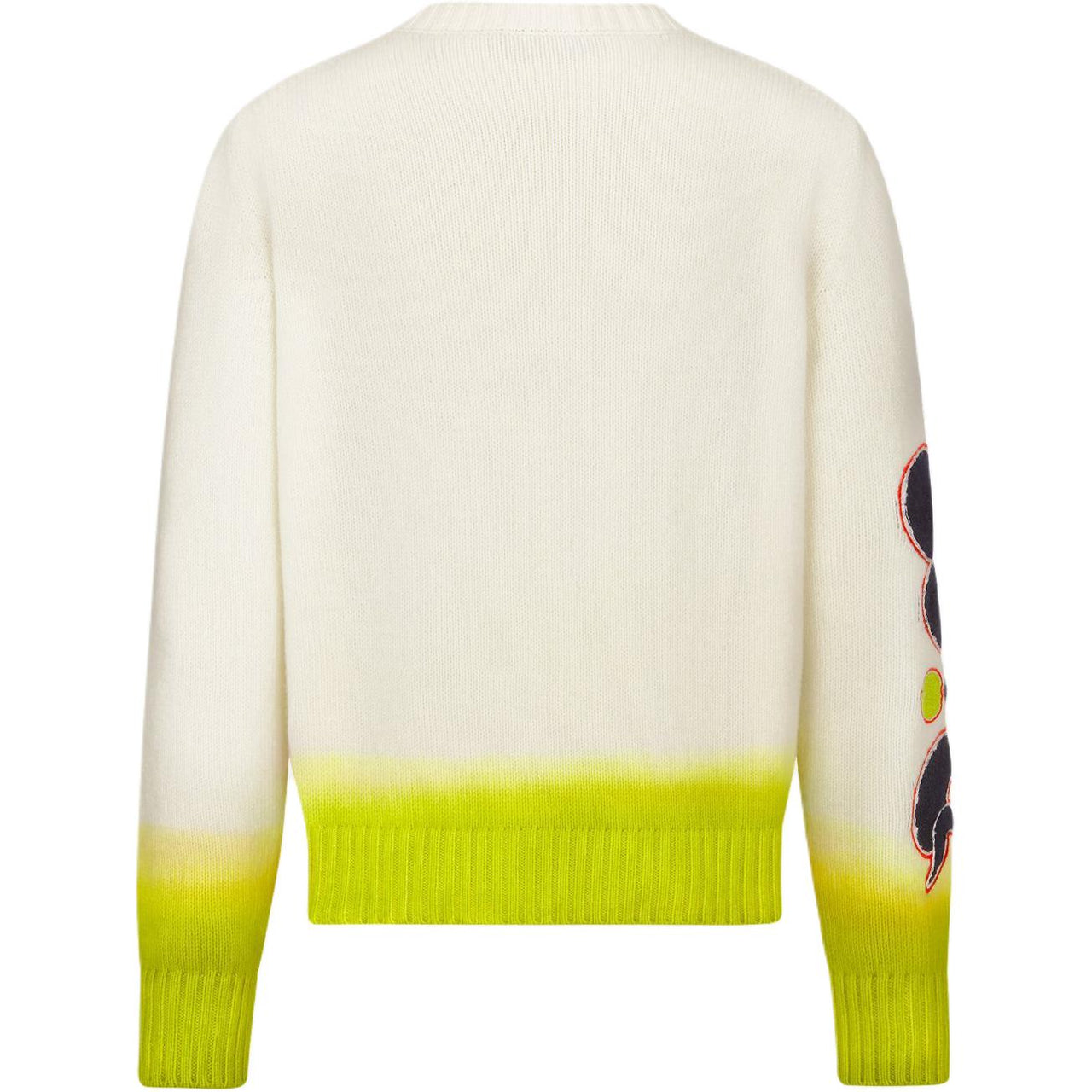 DIOR X Kaws Sweater