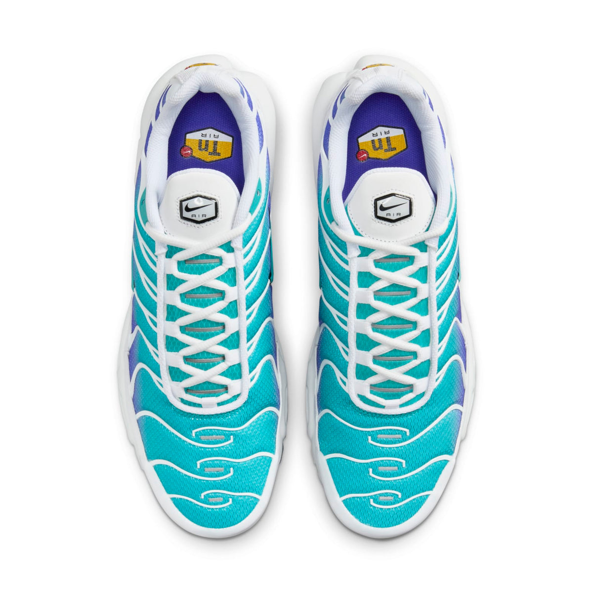 Nike Air Max Plus 'Aqua' DM0032-102