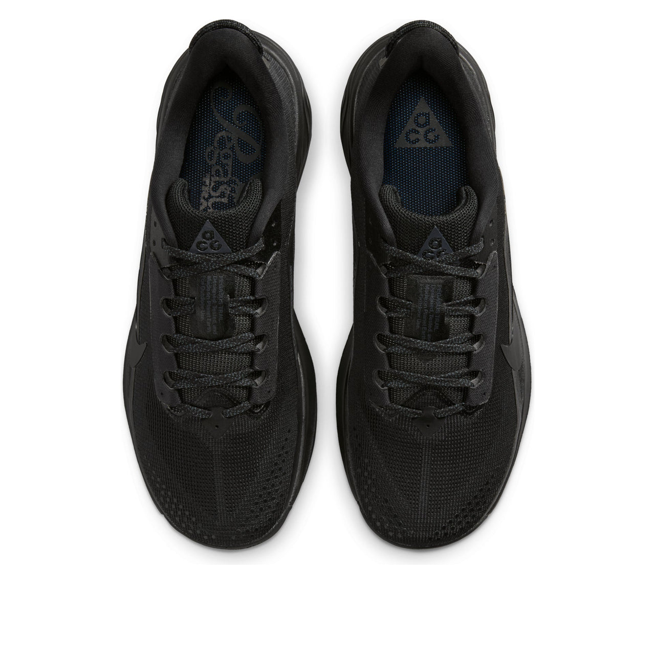 Nike ACG Pegasus Trail 'Black Anthracite' HV8116-002