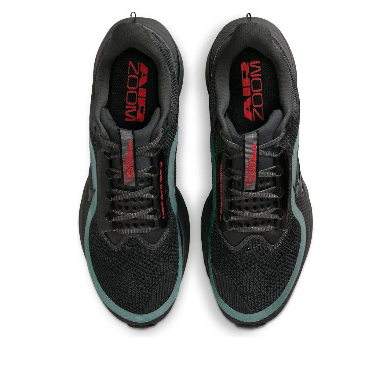 Nike Pegasus Premium 'Anthracite Black' HQ2592-011