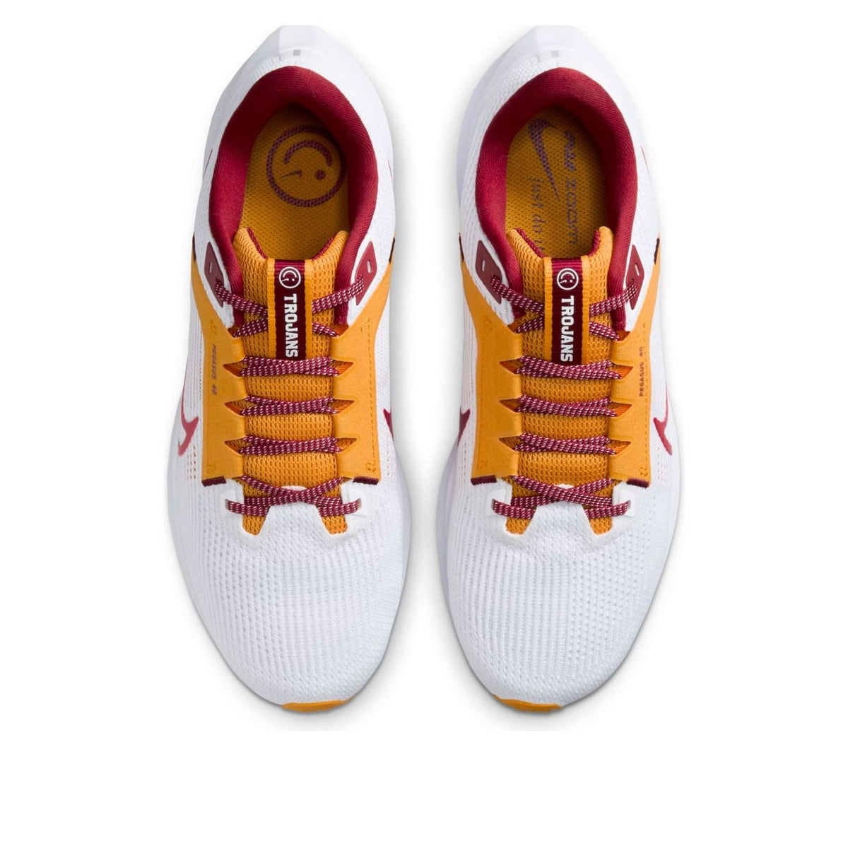 Nike Air Zoom Pegasus 40 'USC' DZ6003-100