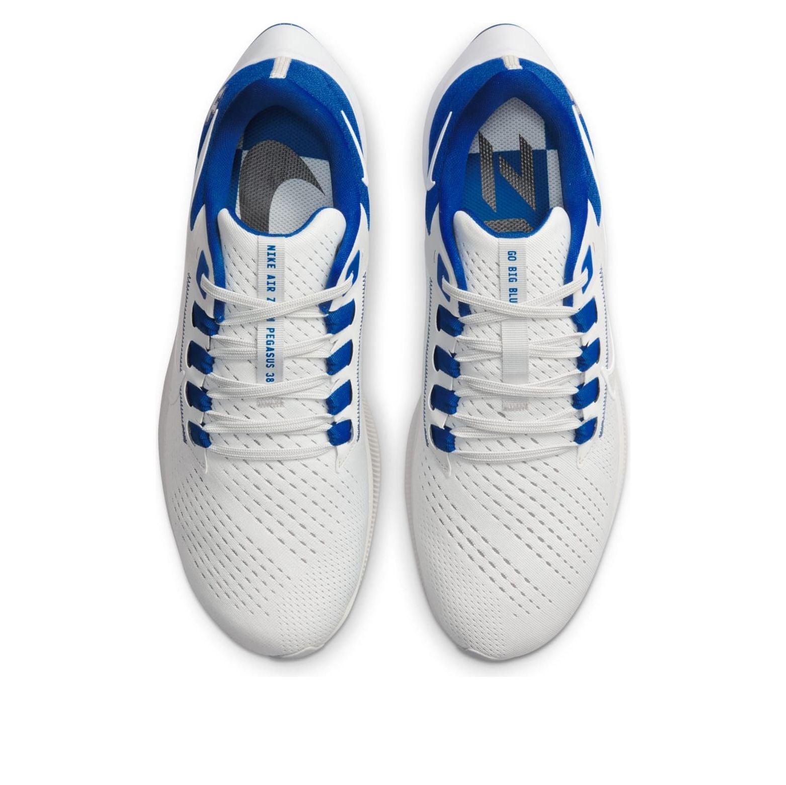 Nike Air Zoom Pegasus 38 'Kentucky' DJ0830-001