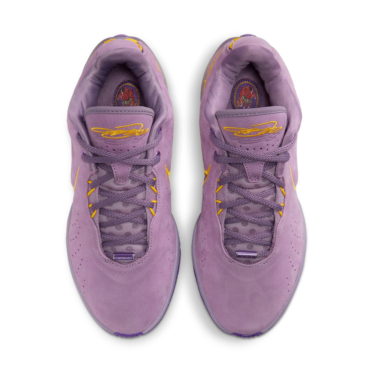 Nike LeBron 21 'Purple Rain' FV2345-500