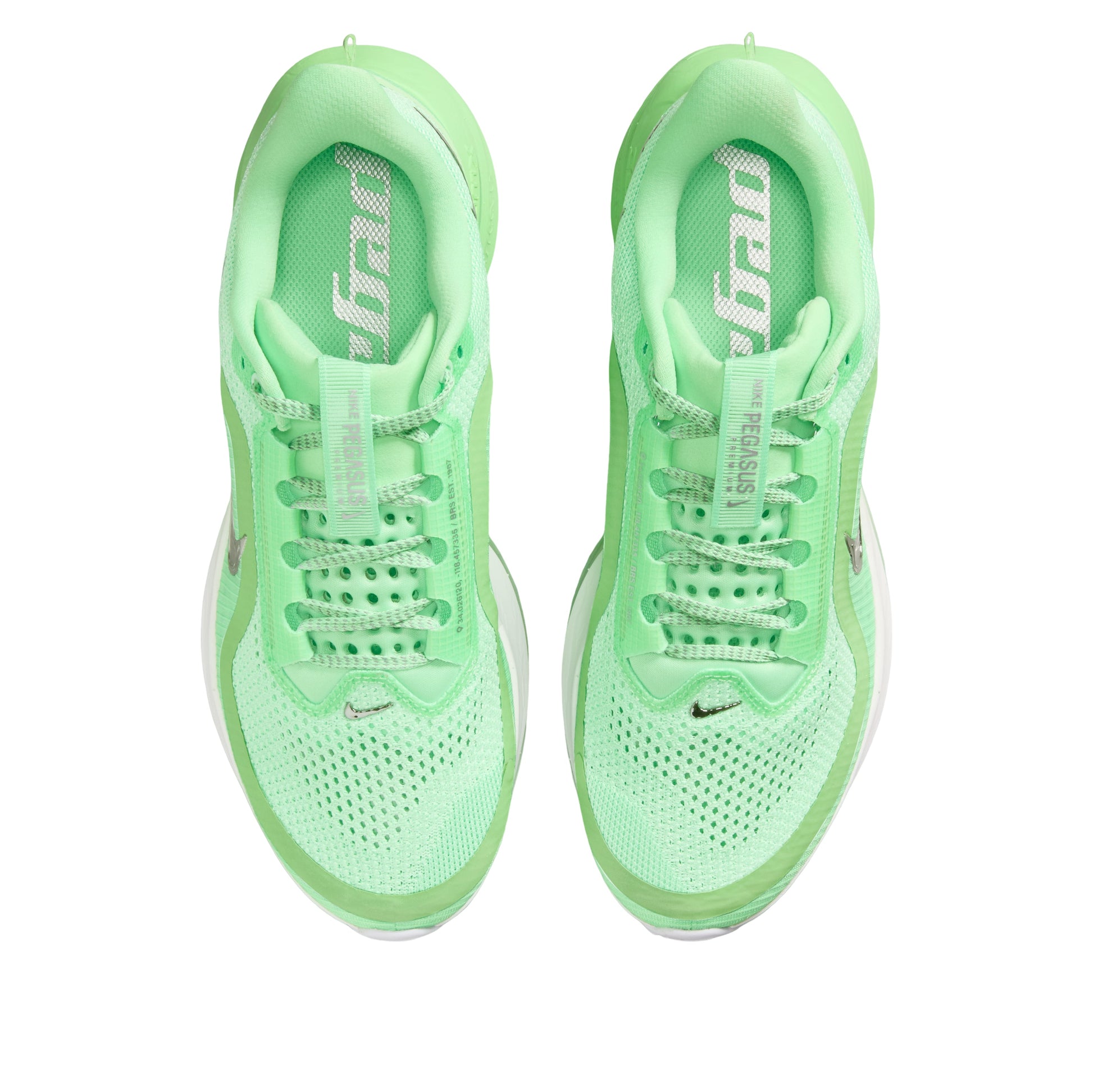 (WMNS) Nike Air Zoom Pegasus Premium 'Illusion Green Silver' HQ2593-302