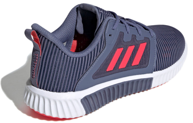 (WMNS) adidas Climacool Vent 'Blue Pink White' B41604