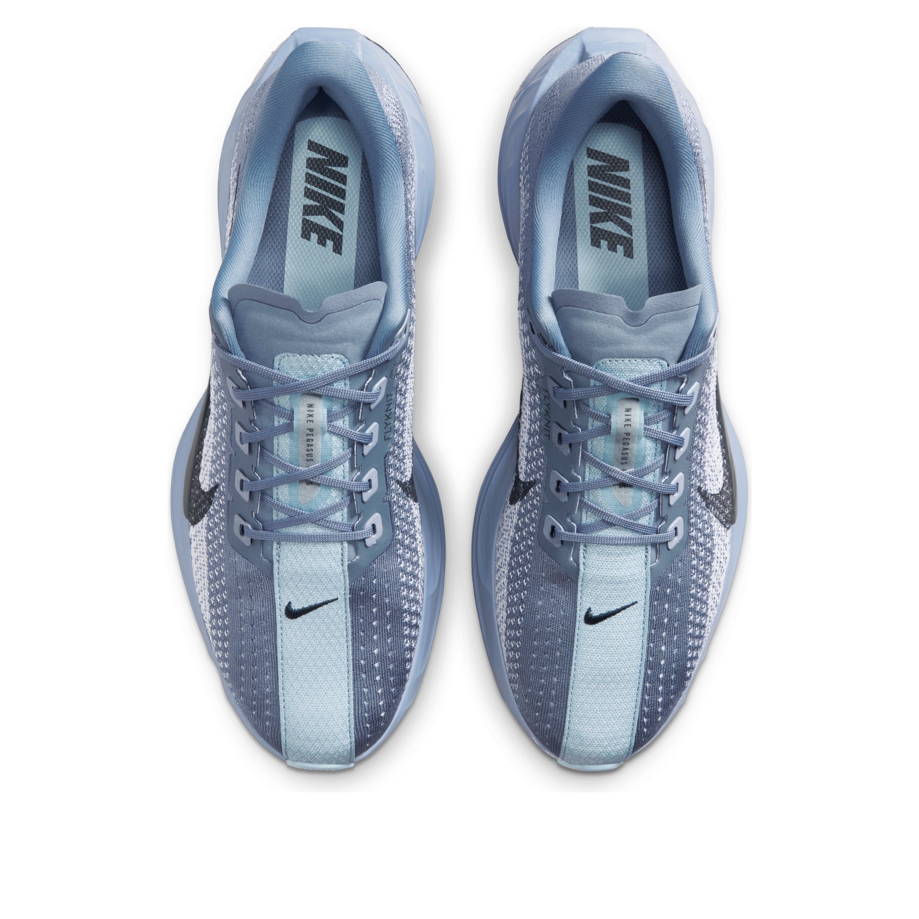 Nike ZoomX Pegasus Plus 'Ashen Slate Light Armory Blue' FQ7262-402