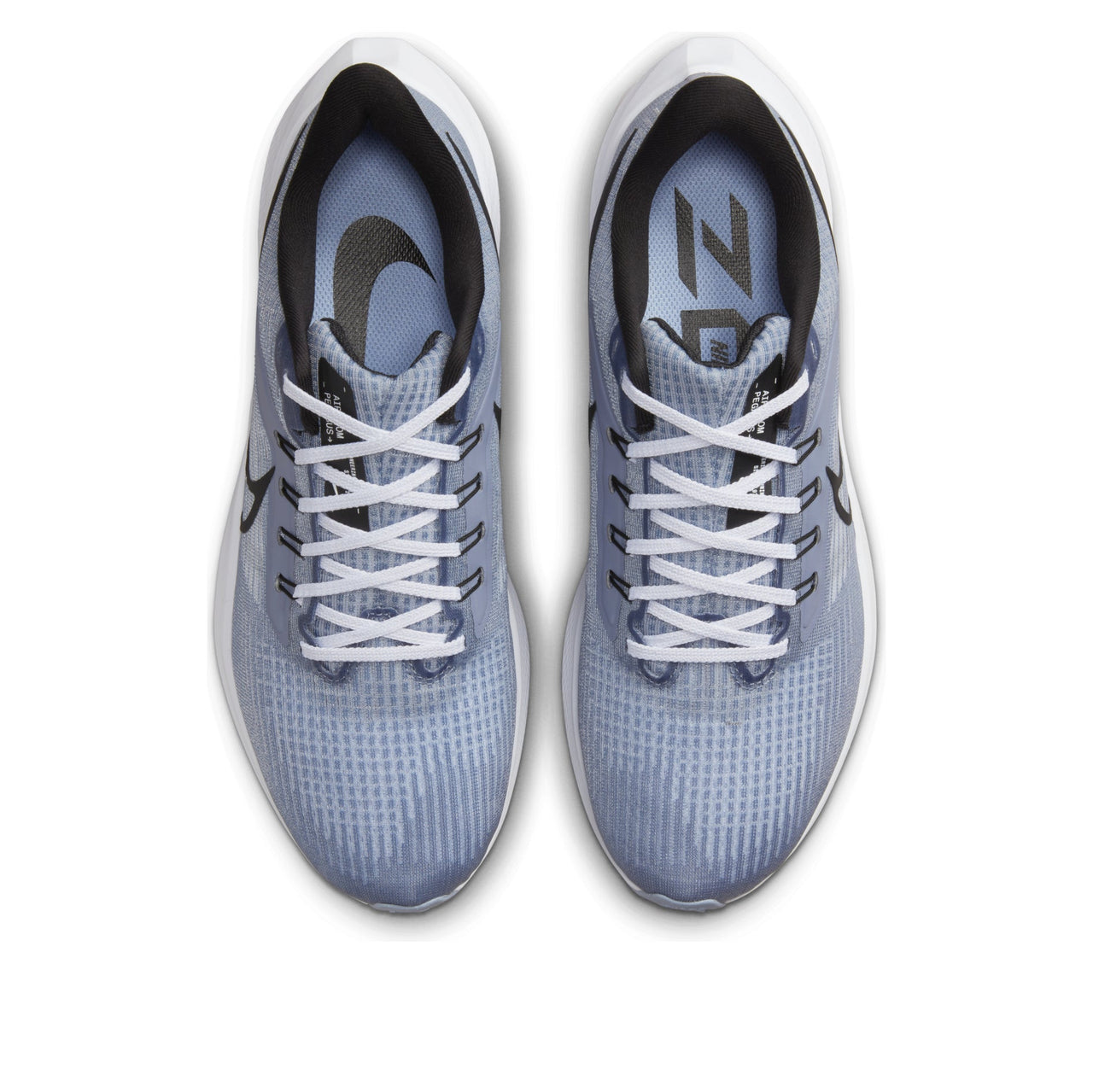 Nike Pegasus 39 'Ashen Slate Light Blue Cobalt Bliss' DH4071-401