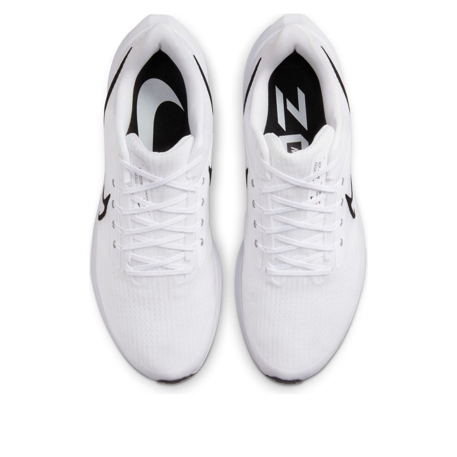 Nike Air Zoom Pegasus 39 TB 'White Black' DM0164-100