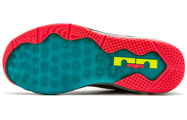 Nike Max LeBron 11 Low SE 'Multi-Color' 695224-970