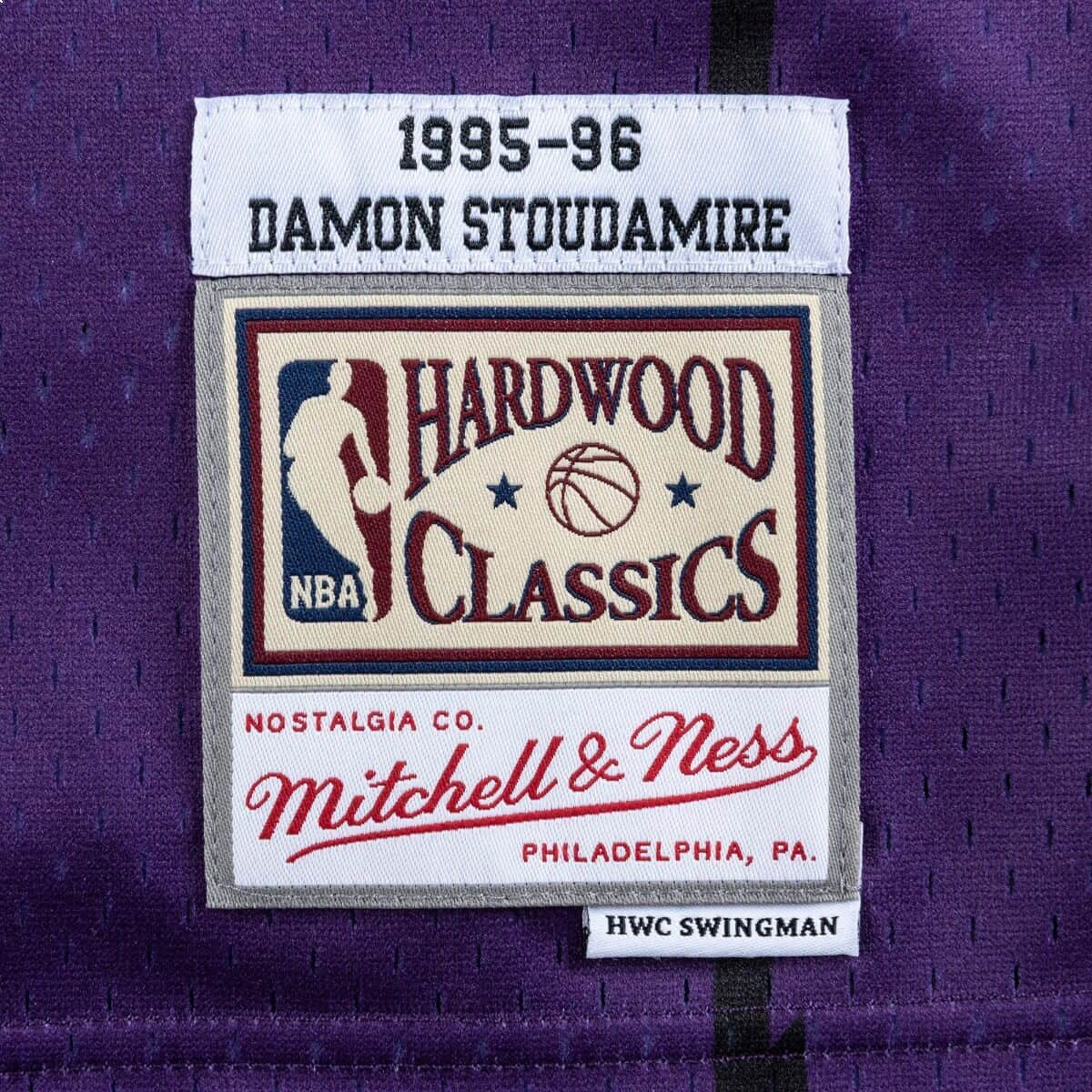 Mitchell & Ness x NBA Toronto Raptors 1995-96 Road Swingman Jersey 'Damon Stoudamire 20' SMJYGS18379-TRAPURP95DSD