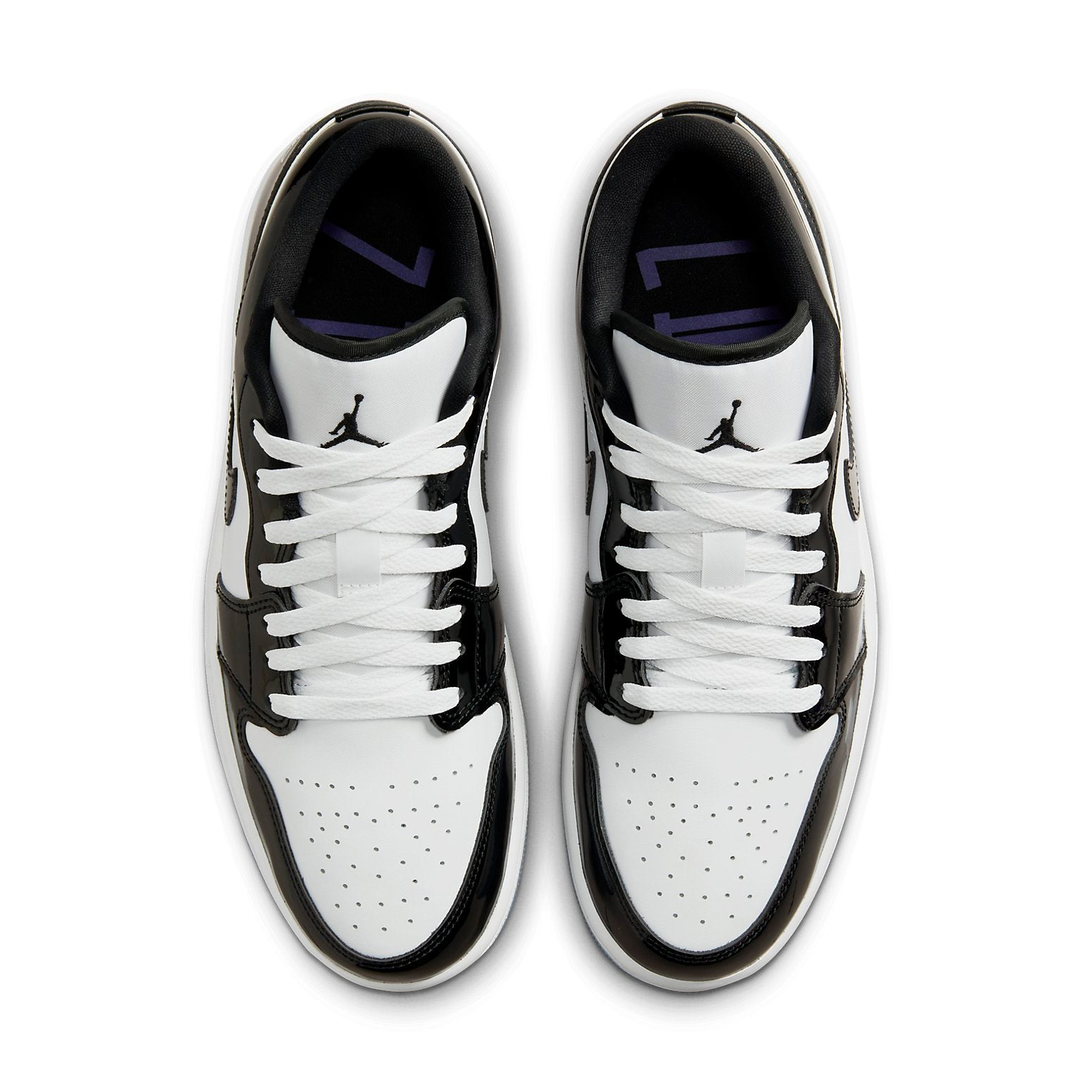 Air Jordan 1 Low SE 'Concord' DV1309-100