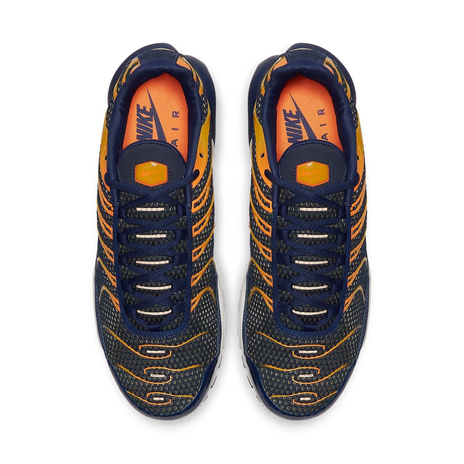 Nike Air Max Plus 'Blue Void' 852630-408