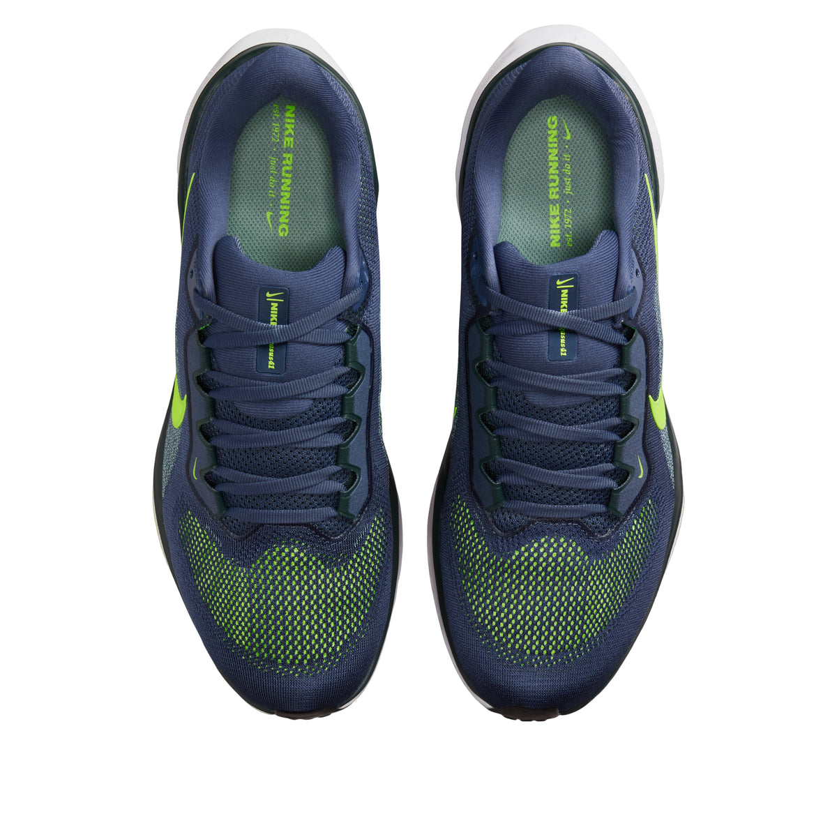 Nike Air Zoom Pegasus 41 'Sanded Purple Seaweed Volt' FD2722-501