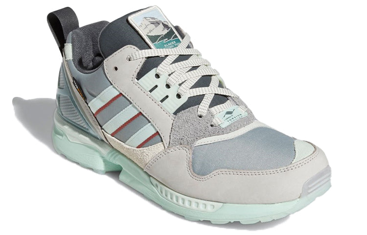 adidas National Park Foundation x ZX 9000 'Glacier Park' FY5172