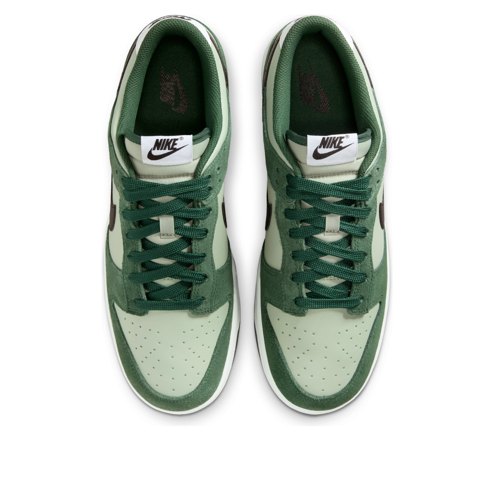Nike Dunk Low Retro SE 'Jade Horizon Black Fir' IB6399-301