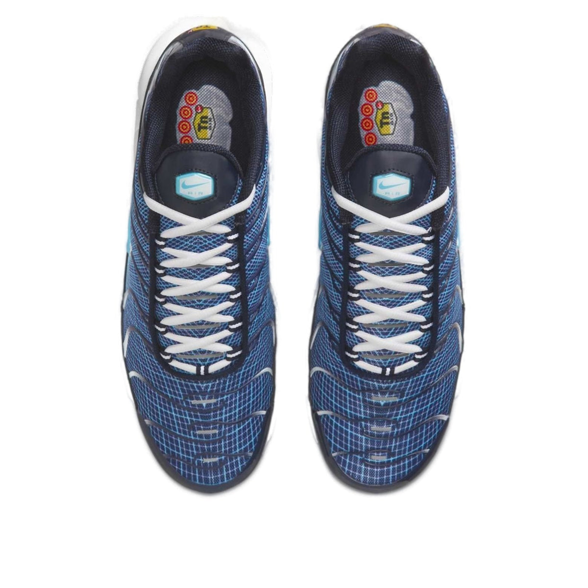 Nike Air Max Plus 'Dark Obsidian' IH4460-400