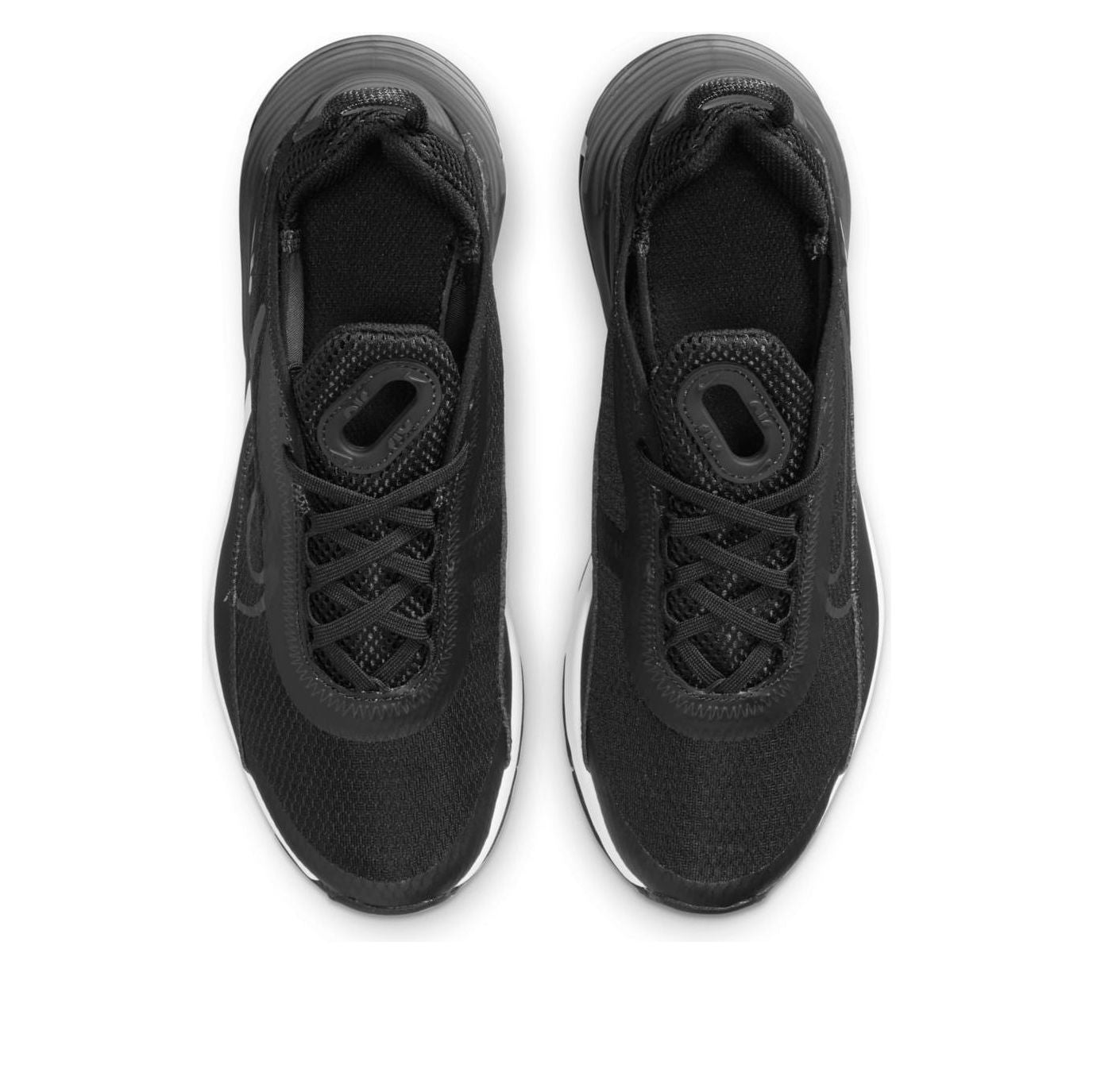 (GS) Nike Air Max 2090 'Black Wolf Grey' DD3236-001