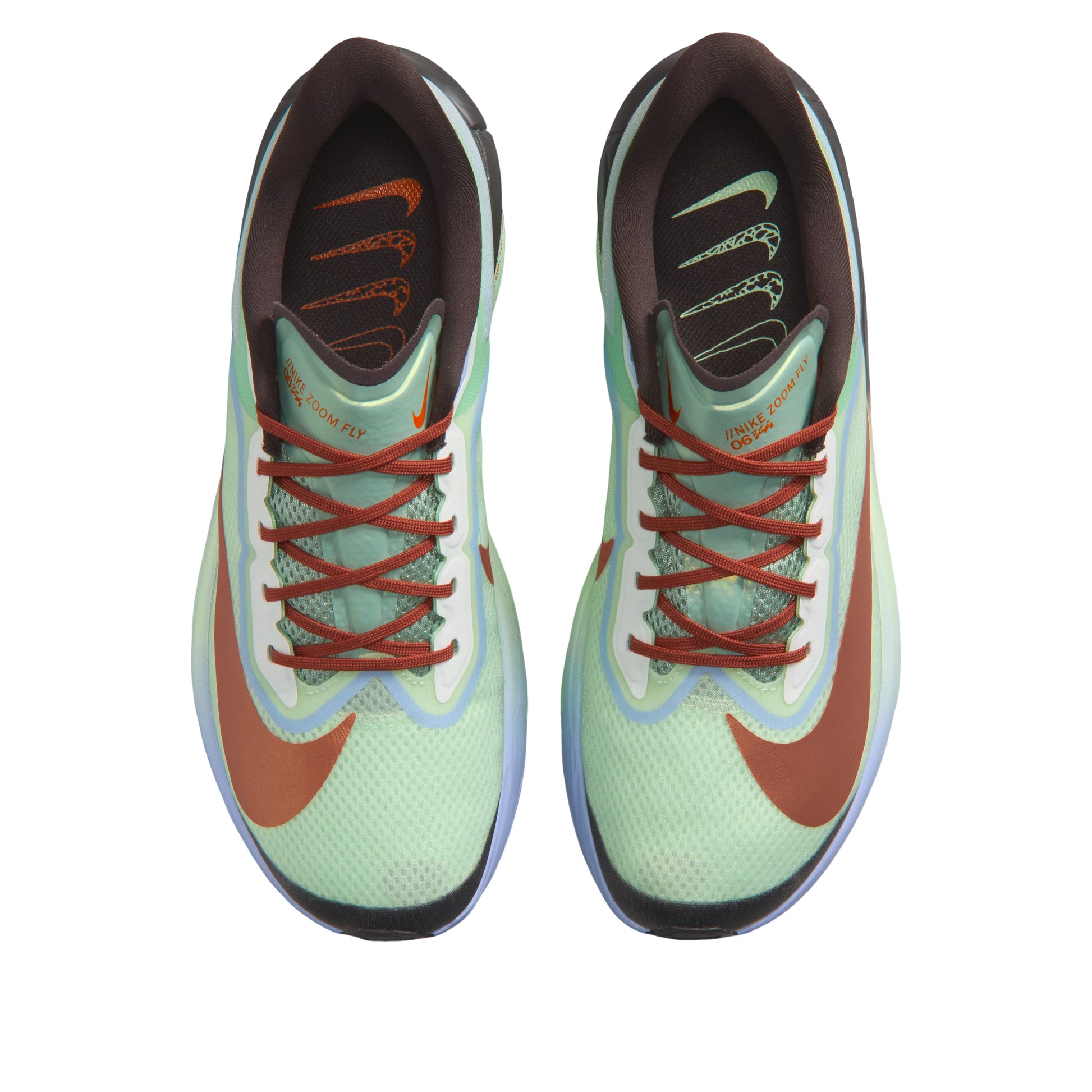Nike Zoom Fly 6 'Steam Frosted Spruce Purple' IW1246-099