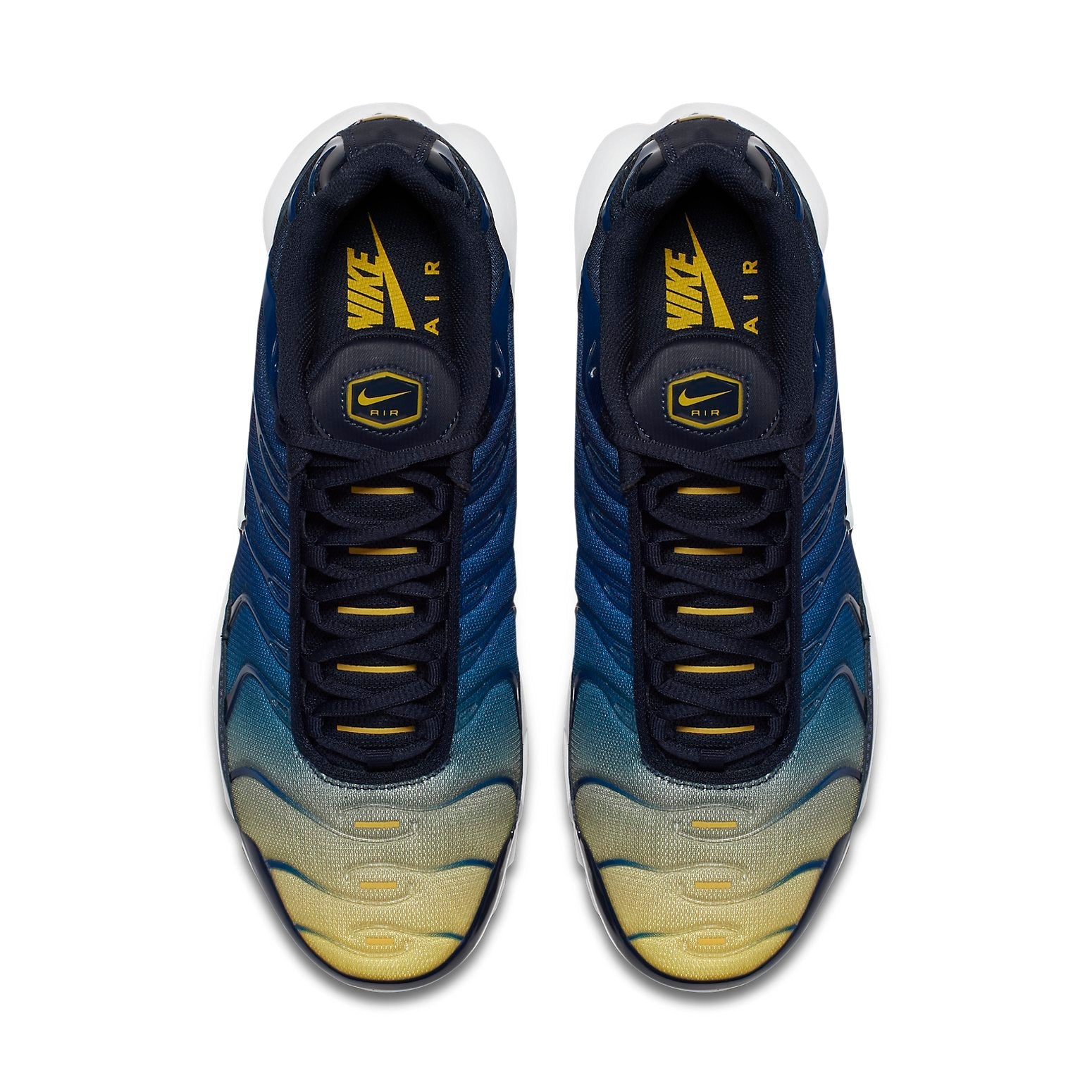 Nike Air Max Plus 'Gradient Pack' 852630-407