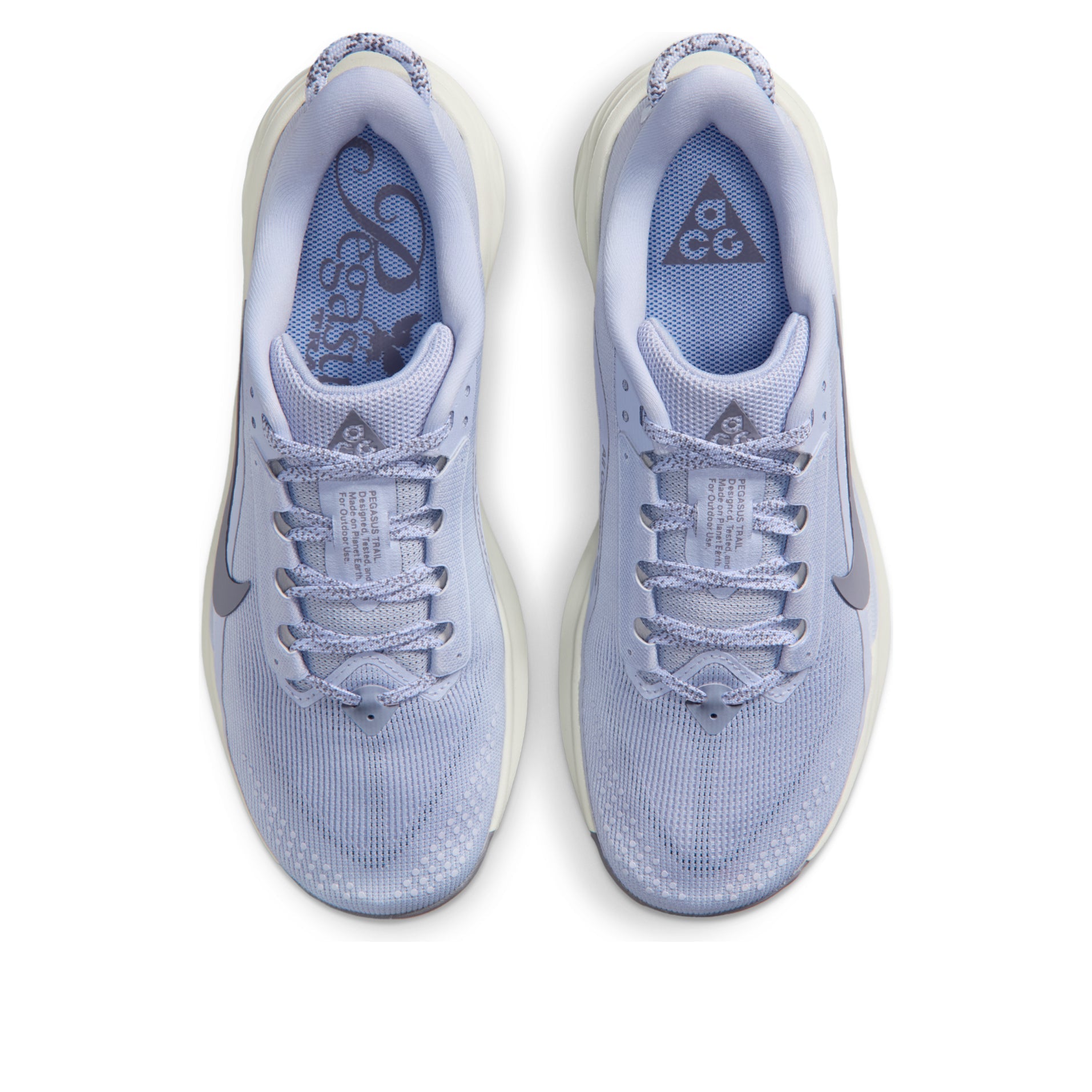 (WMNS) Nike ACG Pegasus Trail 'Ghost Mineral Slate' HV8121-003