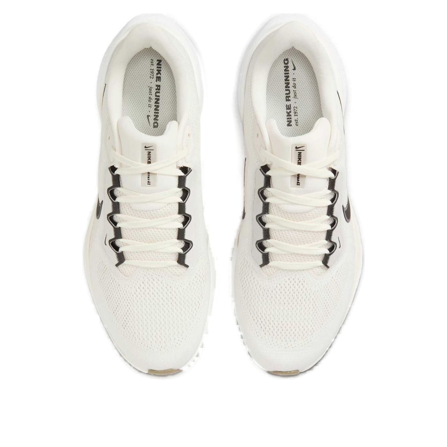 Nike Air Zoom Pegasus 41 'Sail Black' FD2722-111
