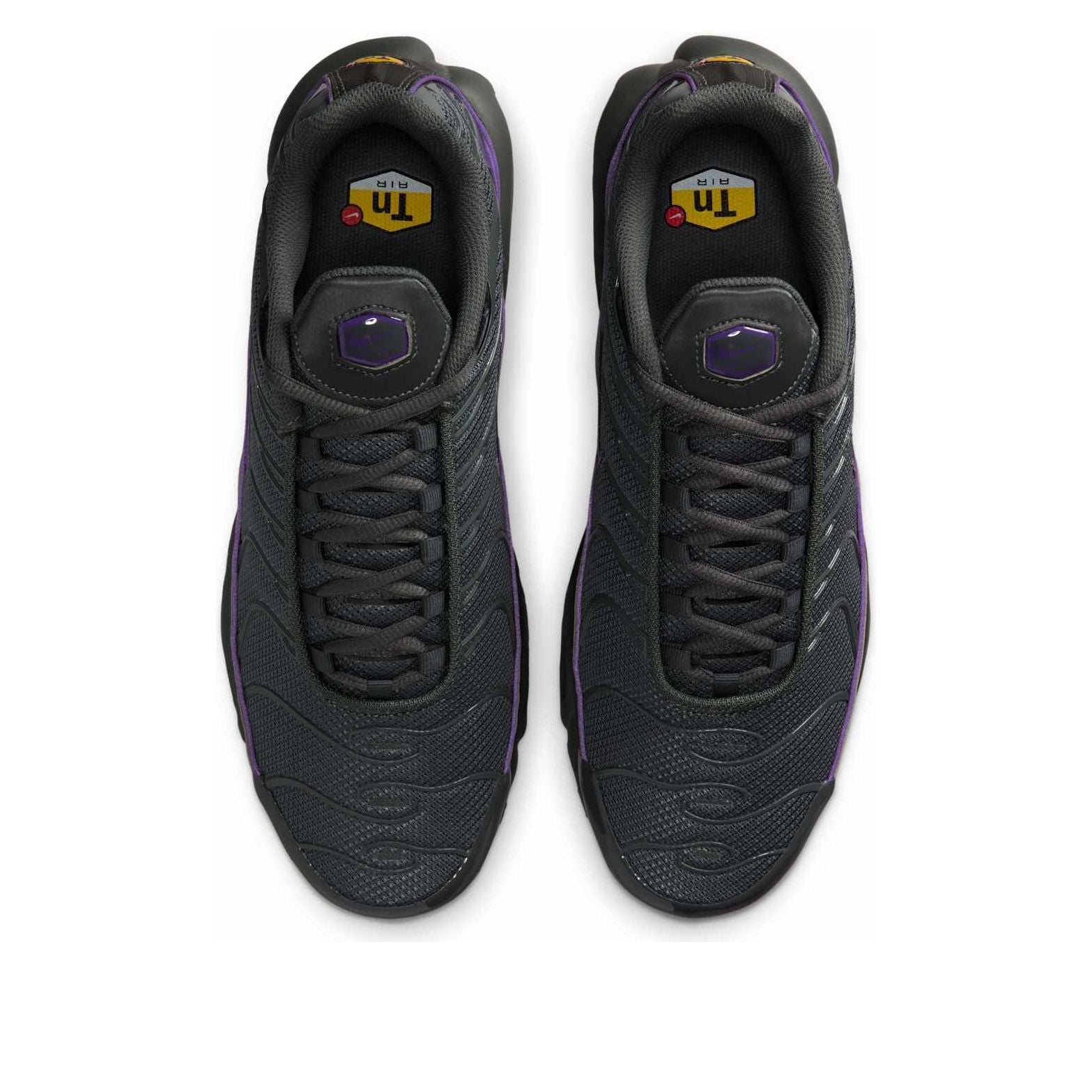 Nike Air Max Plus 'Iron Grey Wild Grape' HV8066-001