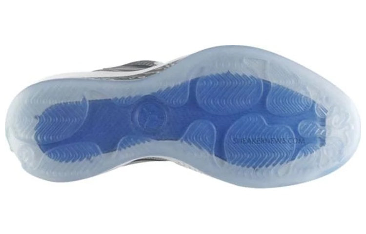 Air Jordan 2010 '25th Anniversary' 387358-006