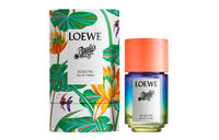 LOEWE Paula's Ibiza Eclectic Perfumes Oriental Potpourri Accord Eau De Toilette