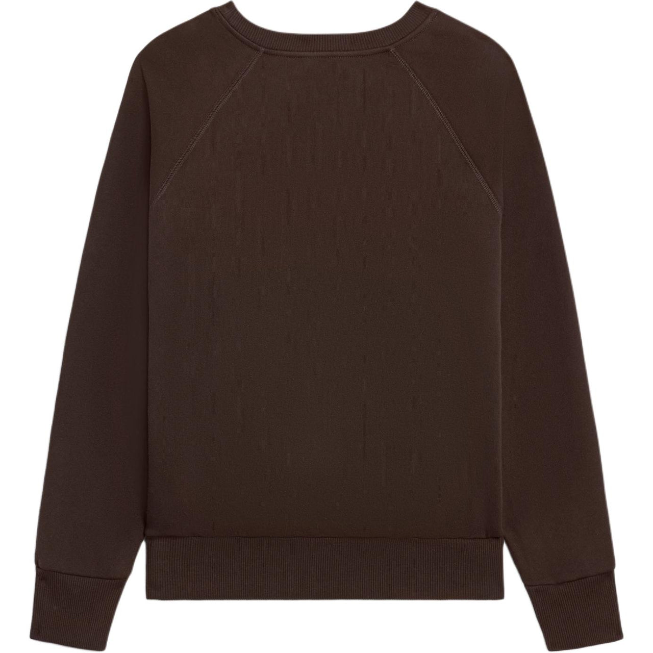 CELINE SS25 Triomphe Sweatshirt In Cotton Fleece Sweatshirt Women's Cocoa Brown