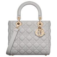 DIOR Calfskin Handbag Medium Size Women's Gray
